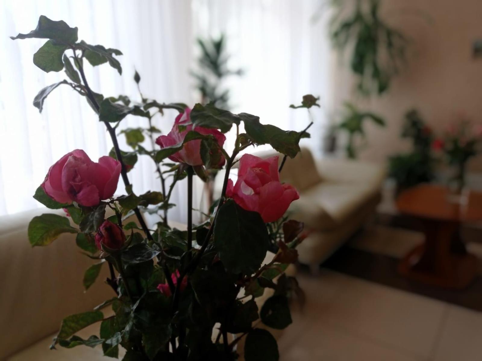 Volyn Hotel Ludmir Volodymyr-Volynsʼkyy المظهر الخارجي الصورة